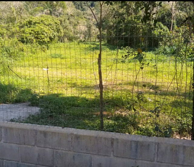 Vendo terreno no ariro sitio - Foto 3