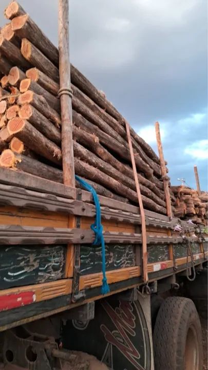 Madeira para construção de cercas - Foto 4