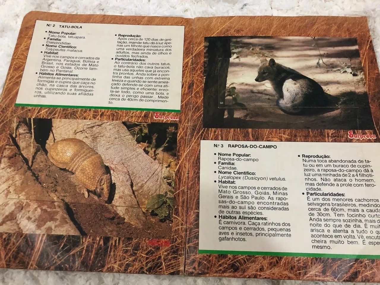 Coleção álbum surpresa Nestlé - Foto 2