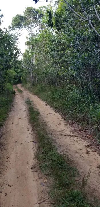 Terreno em área verde com acesso por estrada de terra - Foto 2