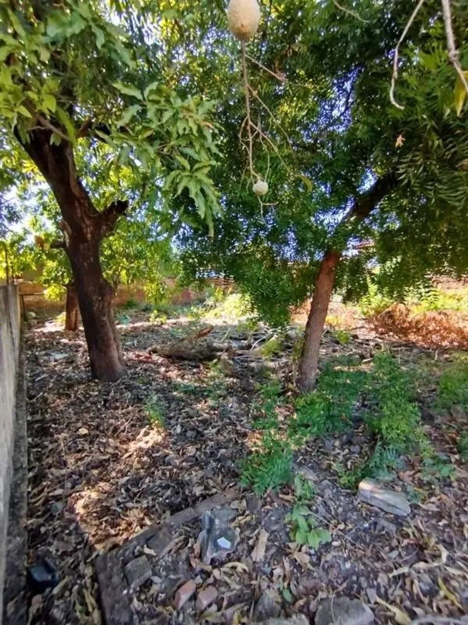 Terreno à Venda no Centro de Timon - Foto 3