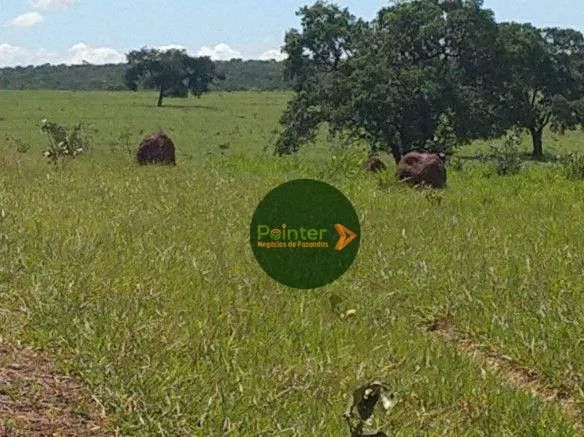 Fazenda à venda, por R$ 150.000.000 - Zona Rural - Figueirão/MS - Foto 3