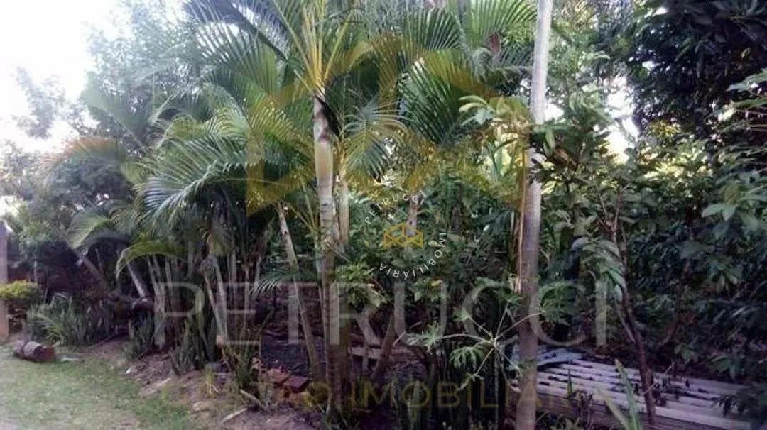 Chácara com 2 dormitórios à venda, 1000 m² por R$ 400.000,00 - Chácaras Cruzeiro do Sul -  - Foto 5