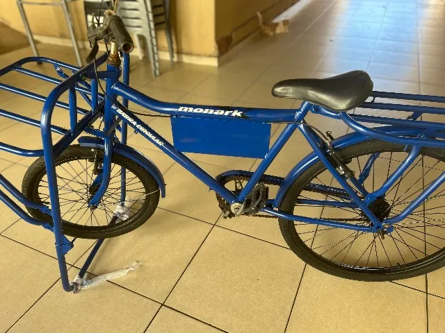 Bicicleta cargueira