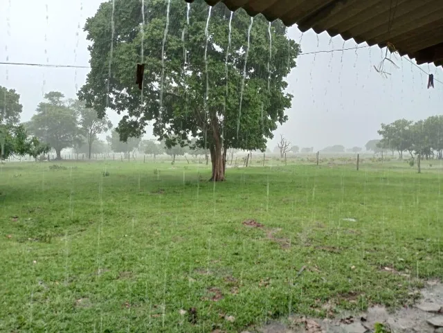 Arrendo 35 hectares para pecuária
