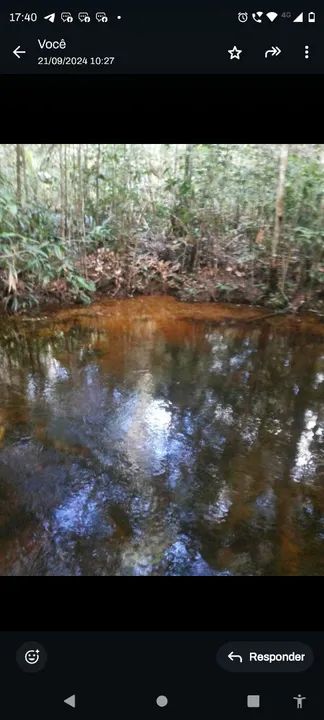Sítio com natureza exuberante