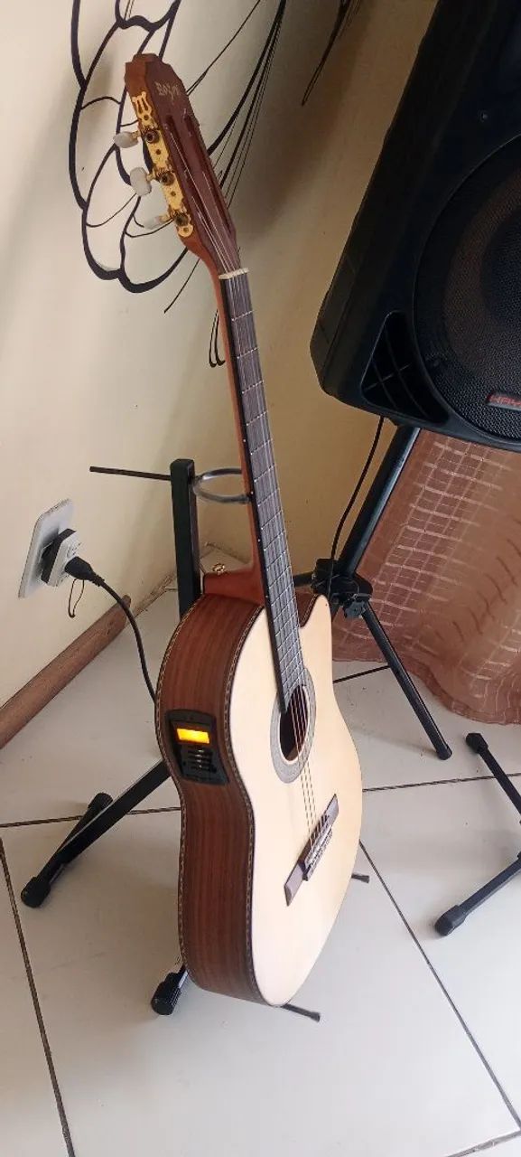 Rozini Guitar63824566100995122