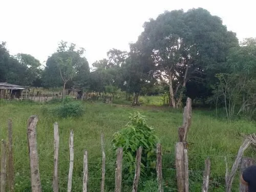 Terreno para fazer chacara e casa em itaporanga