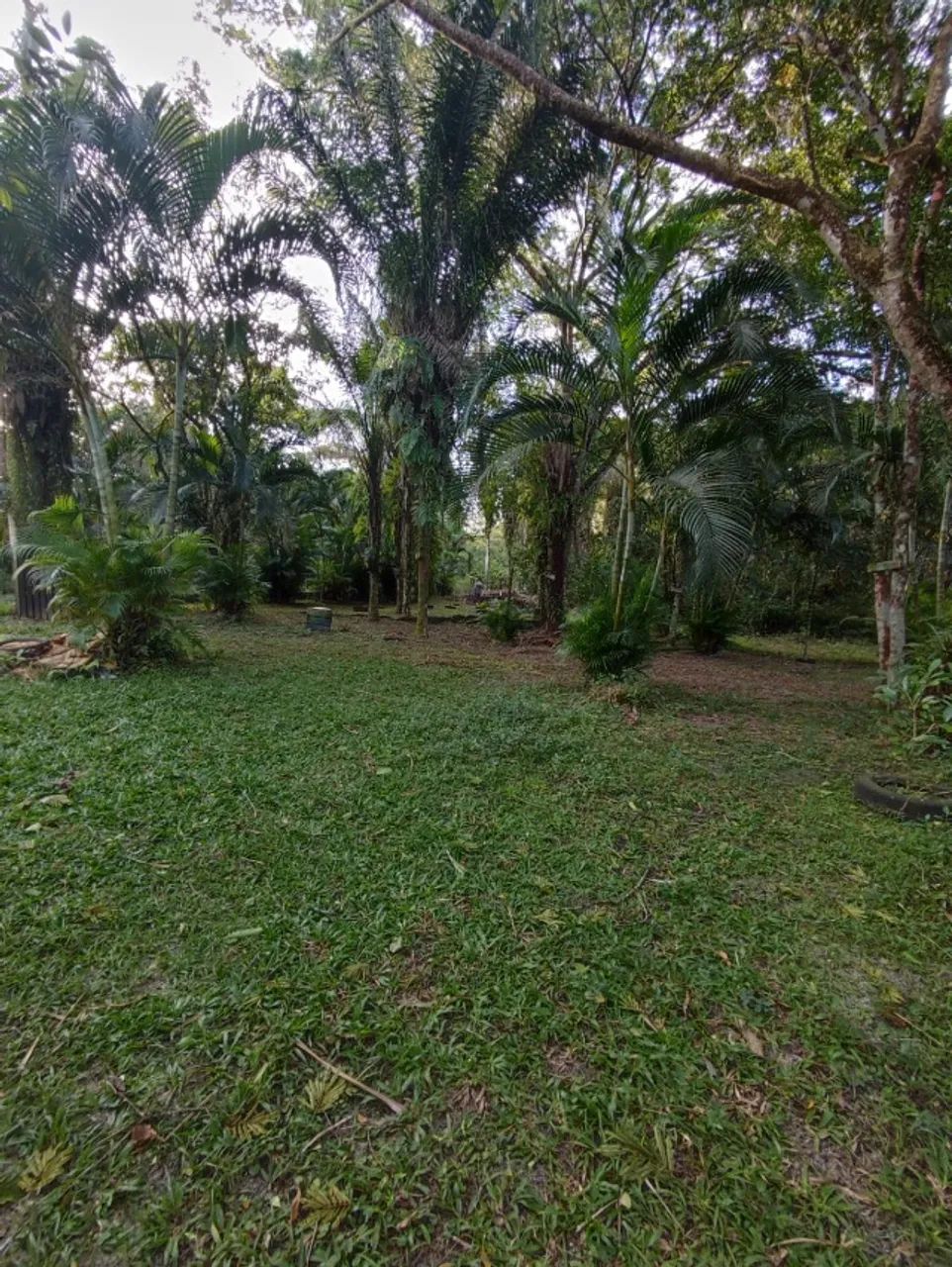 Chácara 9.500m² Vila Loty  - Itanhaém - Foto 3