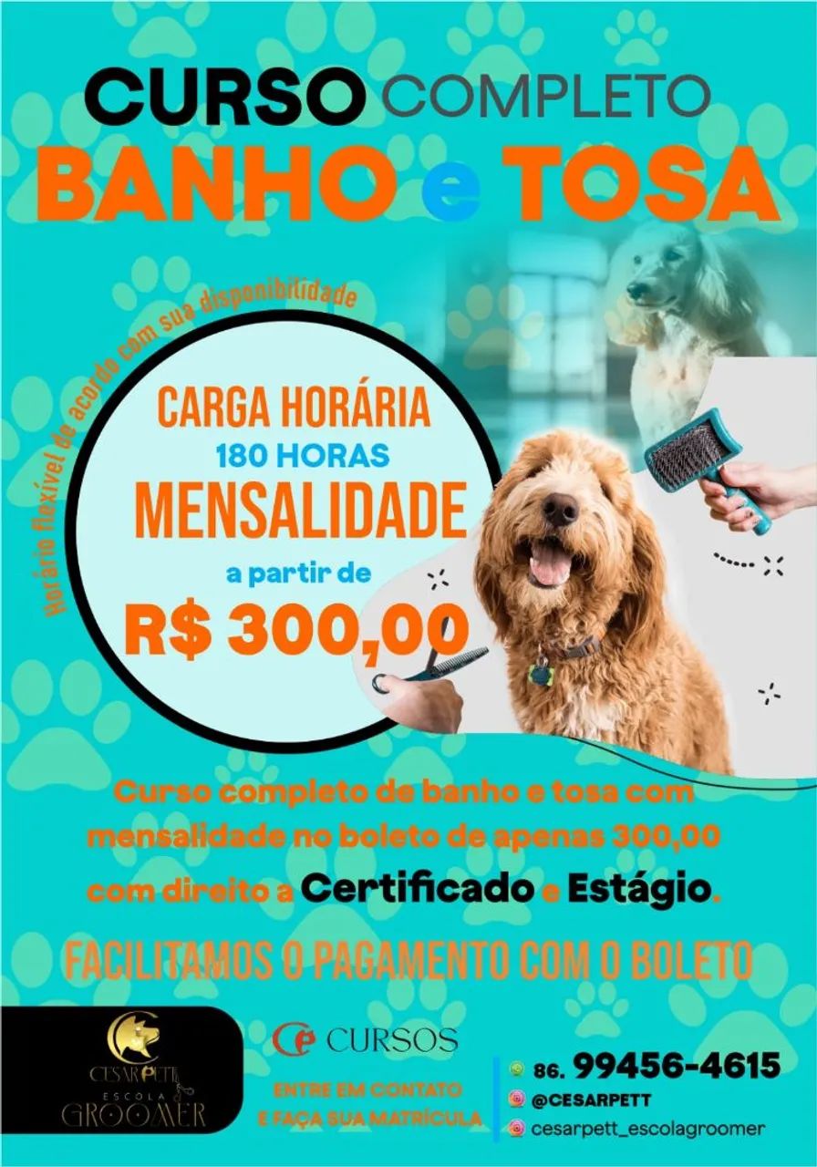 Cursos profissionalizantes de banho e tosa completo com apostilas, estágio e certificado  - Foto 2