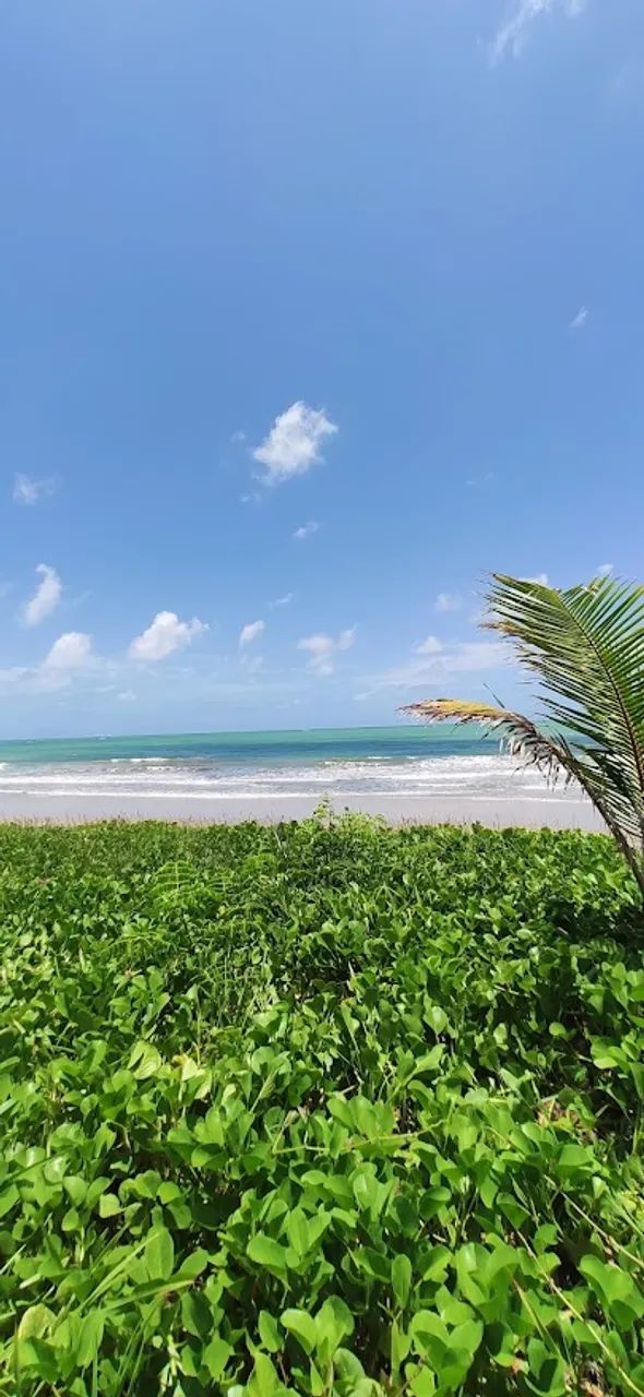 OPORTUNIDADE REPASSE NOMAR PRAIA DOS CARNEIROS | BEIRA-MAR 26M2 429MIL - Foto 4
