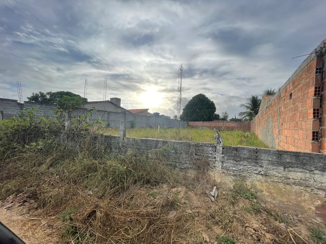 Foto - Aracaju - Jabotiana