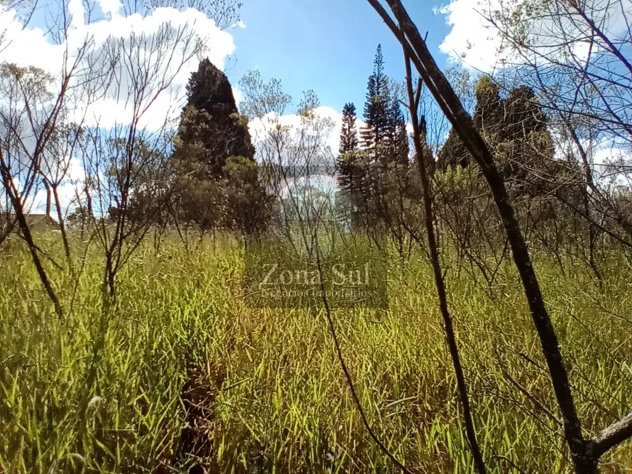 Terreno em Carafá - Votorantim - Foto 5