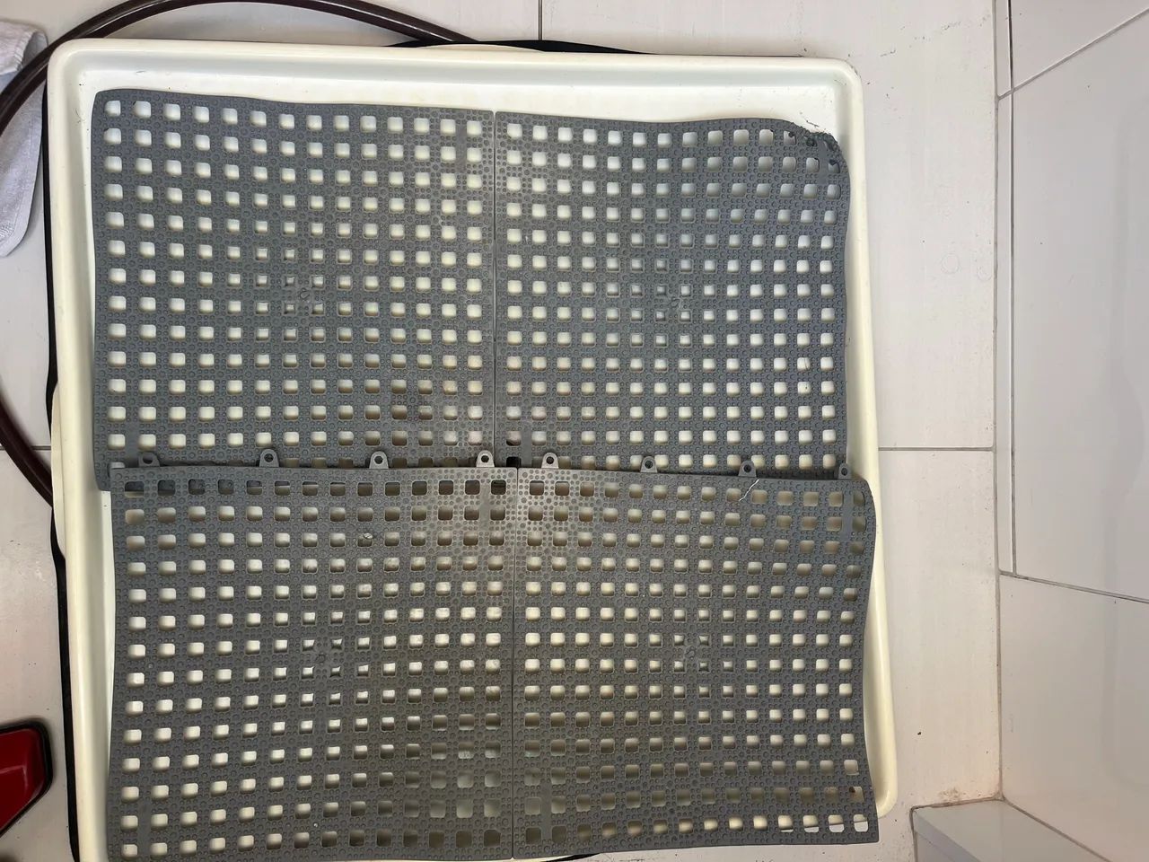 Weasy Cão | Banheiro inteligente para cachorro - Foto 3