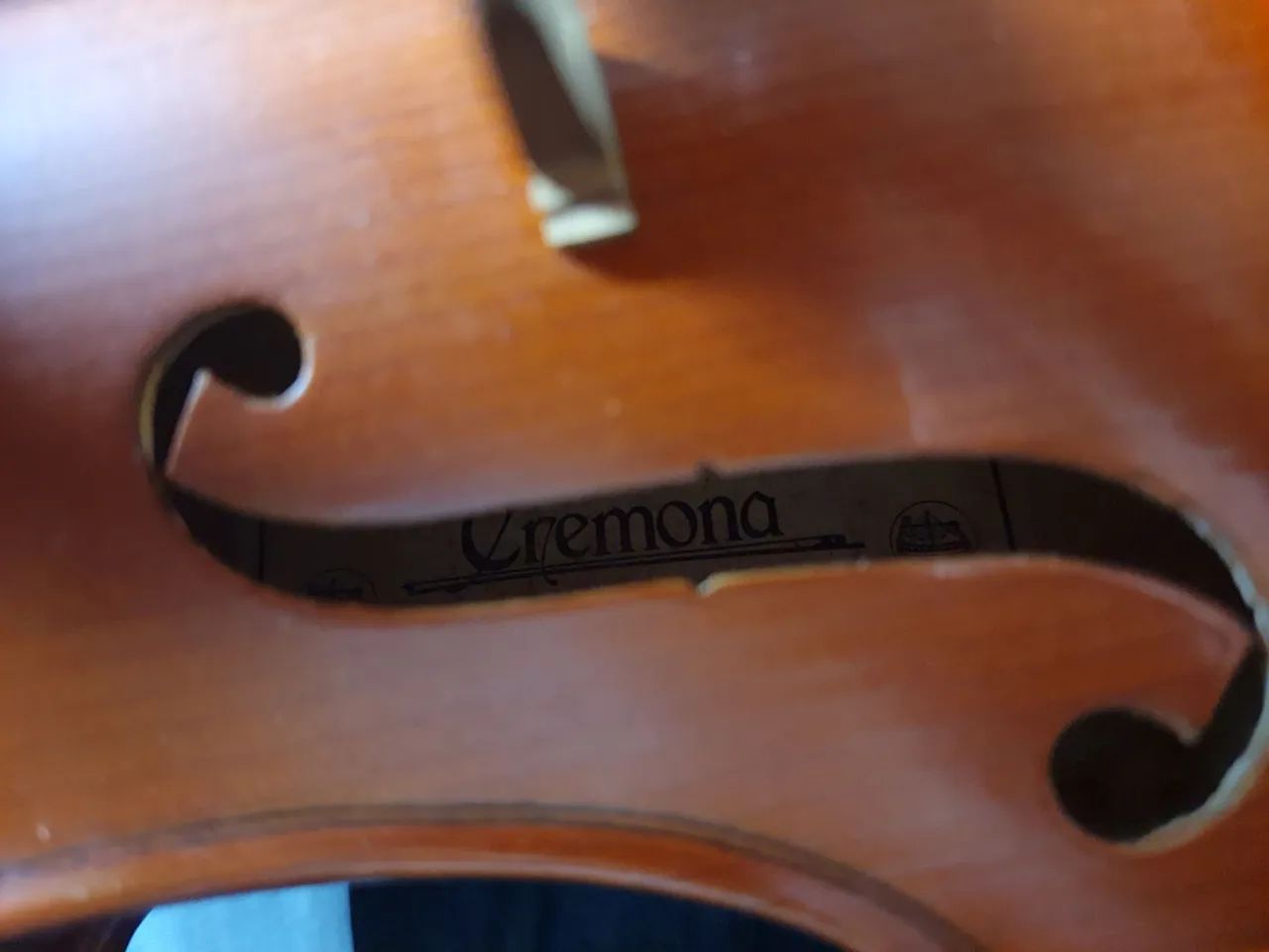Viola Cremona 