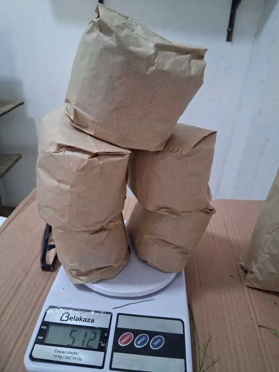 Plantas - Foto 3