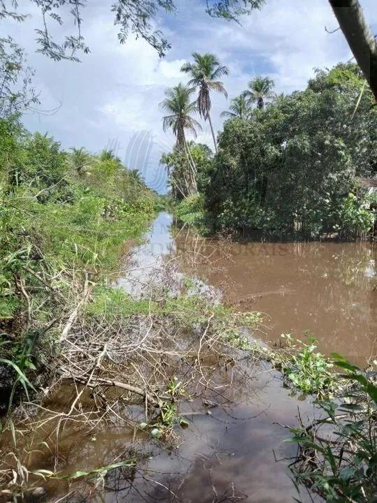 Sítio de coqueiro em Barra de Santo Antônio