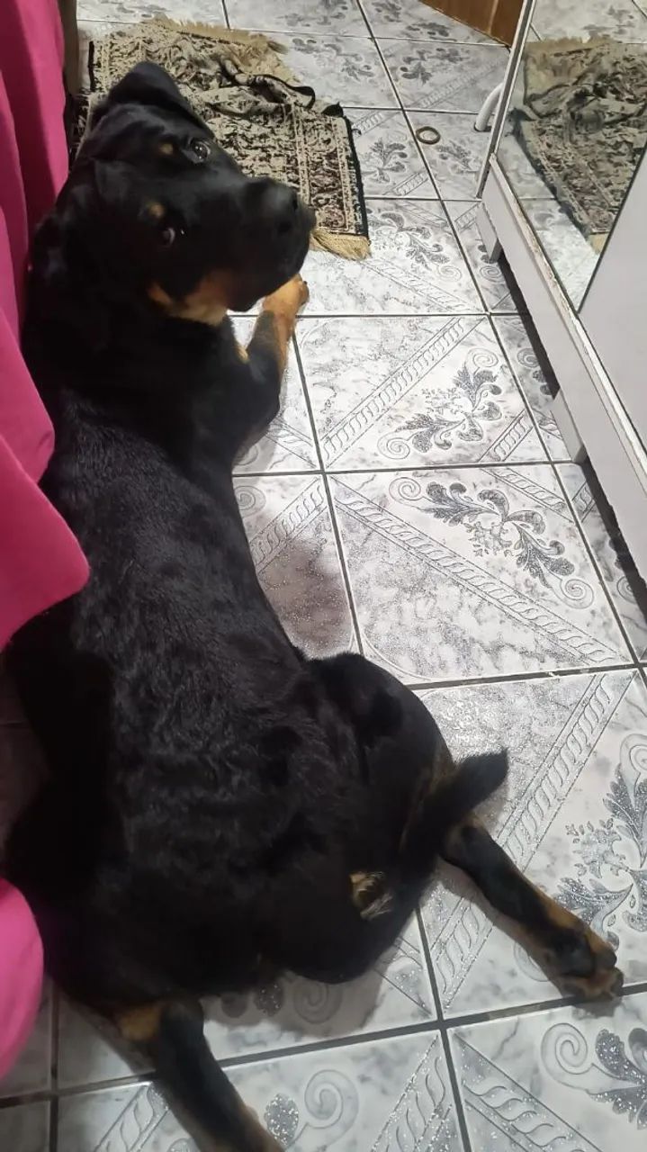 A procura de uma namorada 