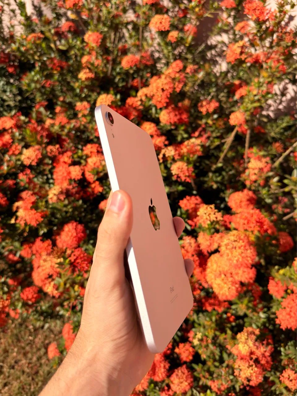 iPad mini 6, rosé, 64gb  - Foto 4