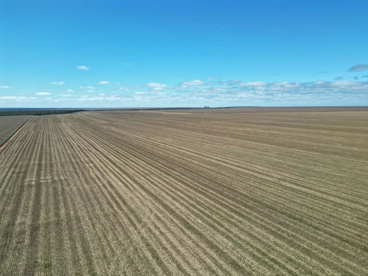 FAZENDA À VENDA  ALTA PRODUTIVIDADE | NOVA MARINGÁ/MT - Foto 4