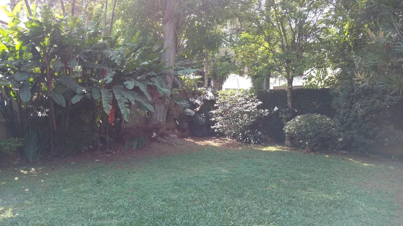 CASA bem LOCALIZADA , 674mts de TERRENO e 300mts c 04 dormitorios. - Foto 3