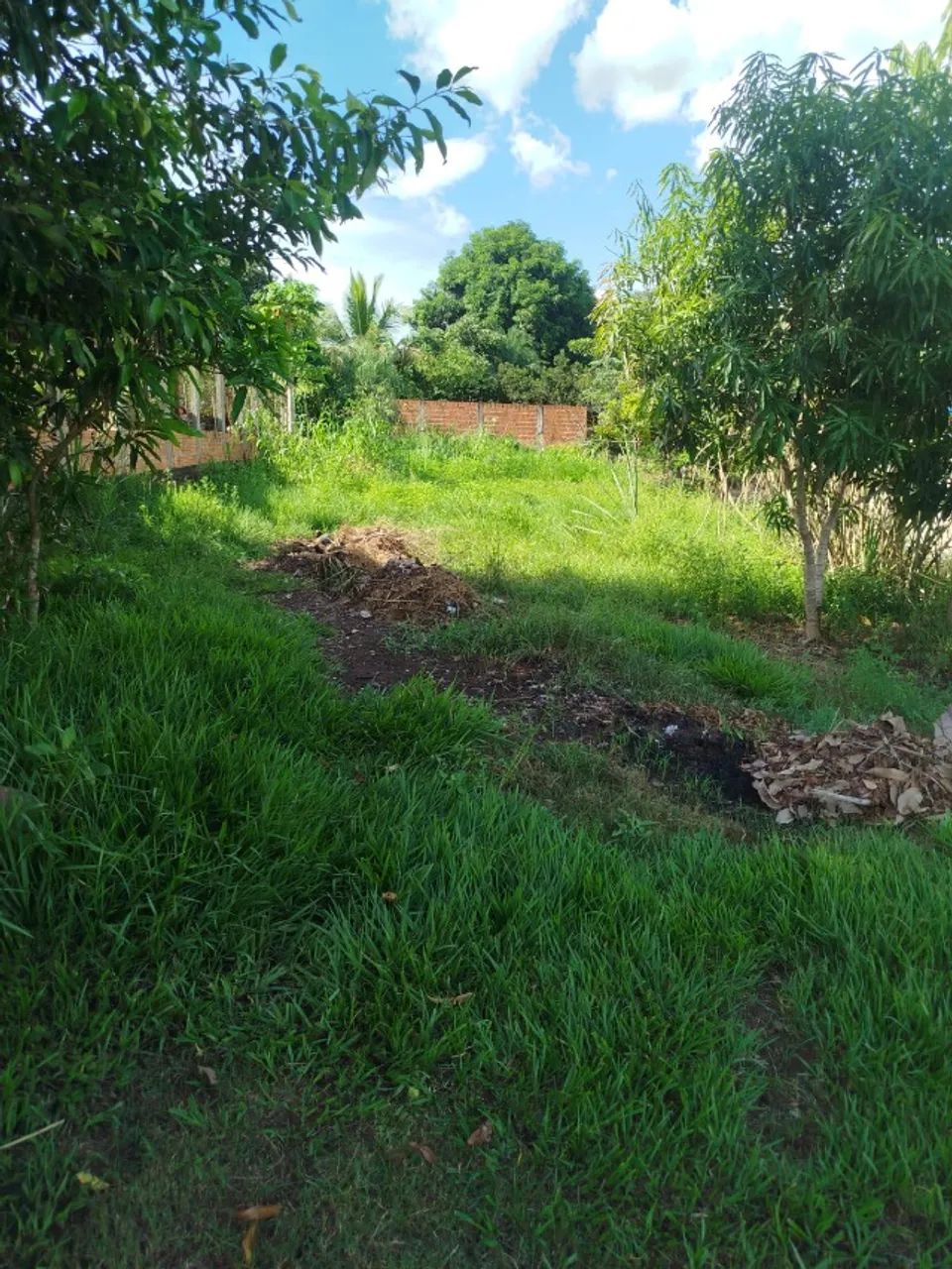 Terreno em piraputanga Ms - Foto 2