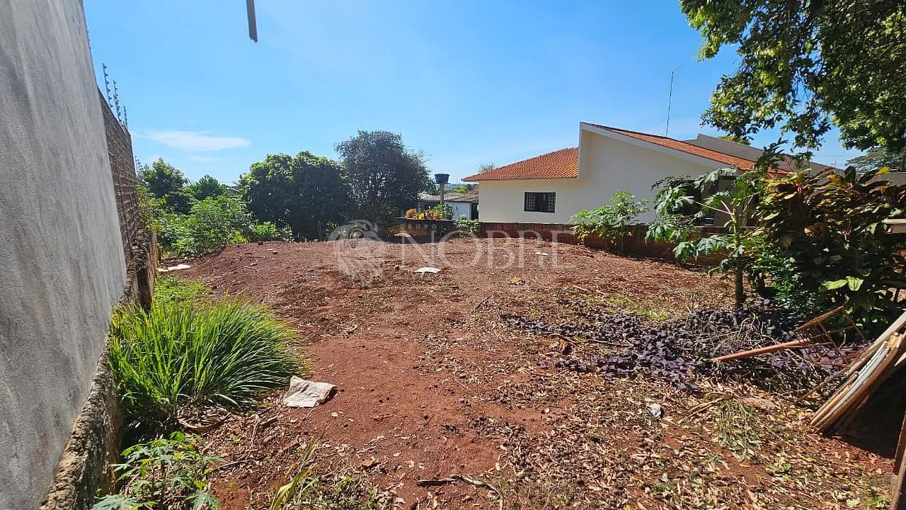 Terreno Rua Quito - Vila Morangueira - Foto 3