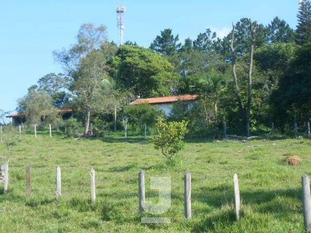 Sítio à Venda - Vila Nova, Amparo - 350m2 - 4 Quartos - Foto 3