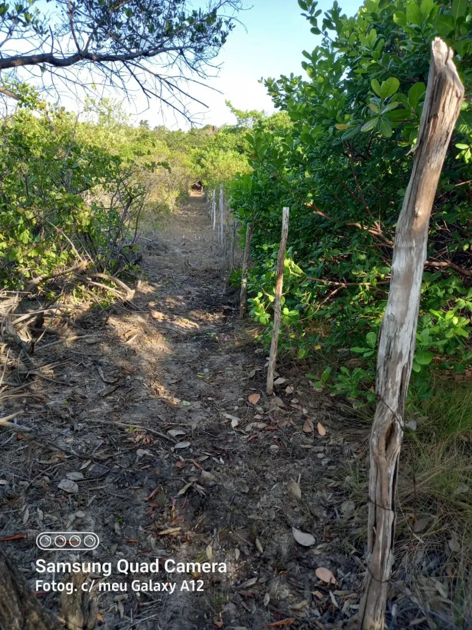 PRAIA DE PANAQUATIRA: Terreno de 28.000 m2 a venda - Ilha de São Luis-MA - Foto 6