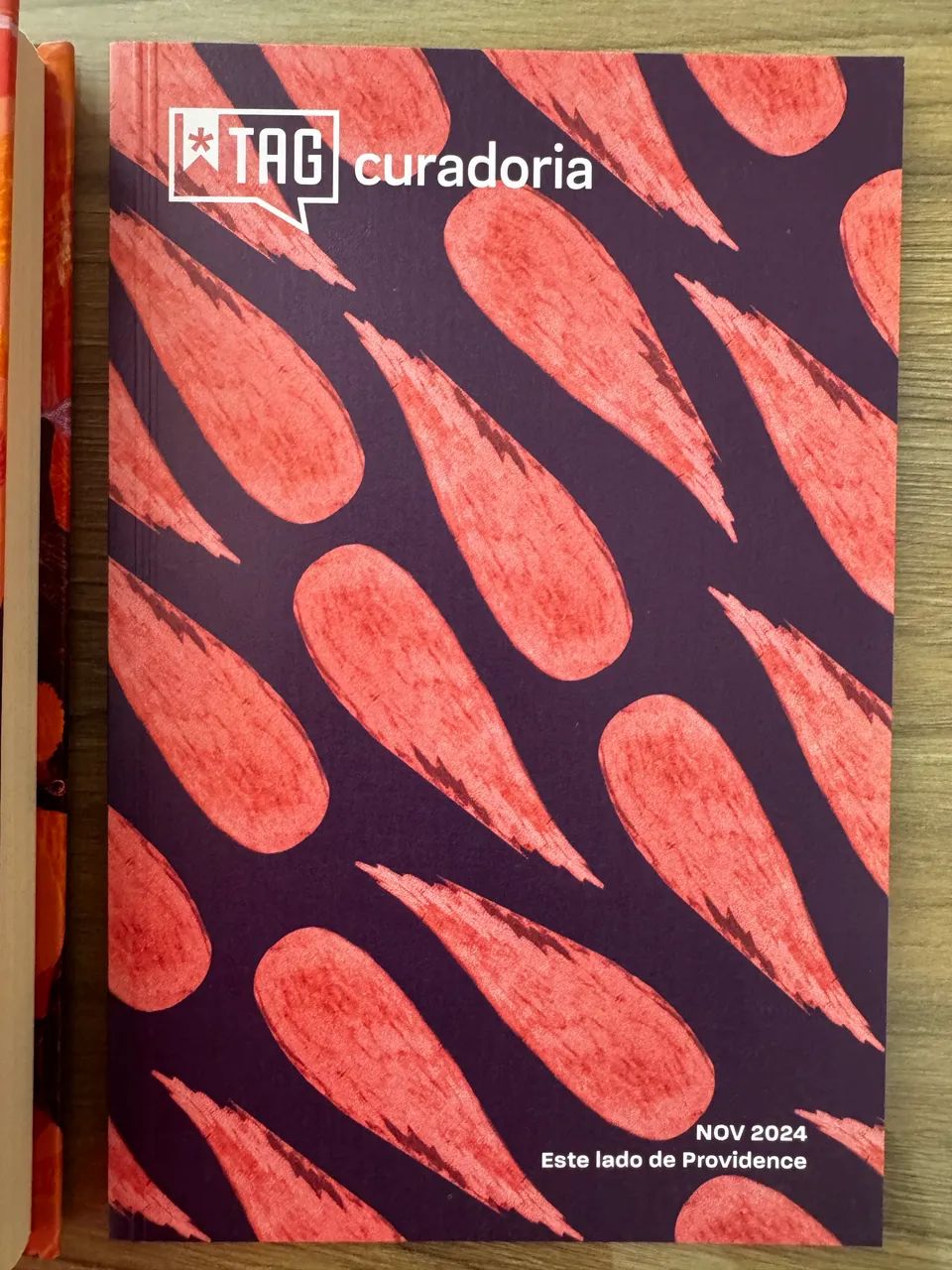 Livro TAG Este lado de Providence - Foto 5