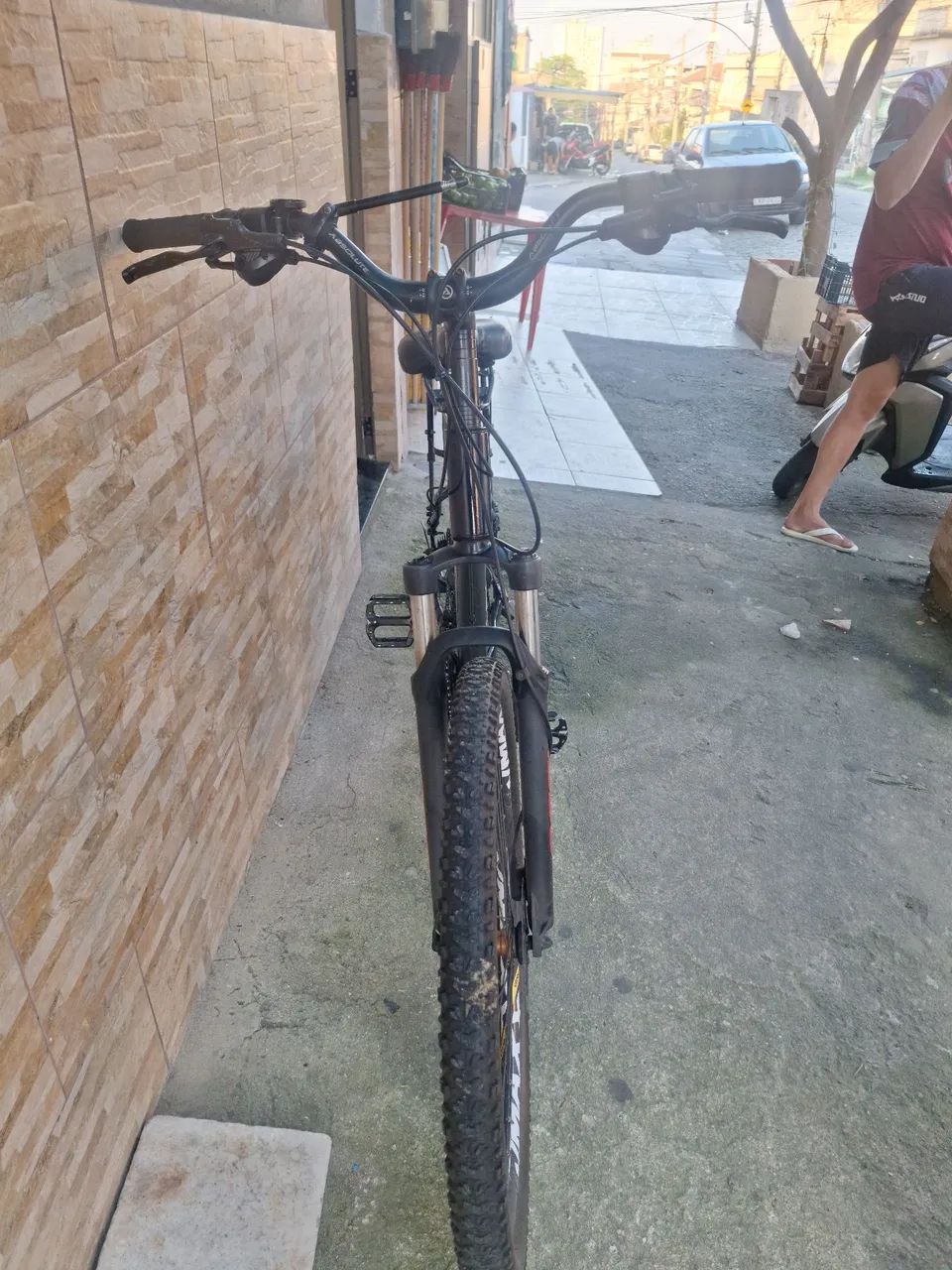 BICICLETA 