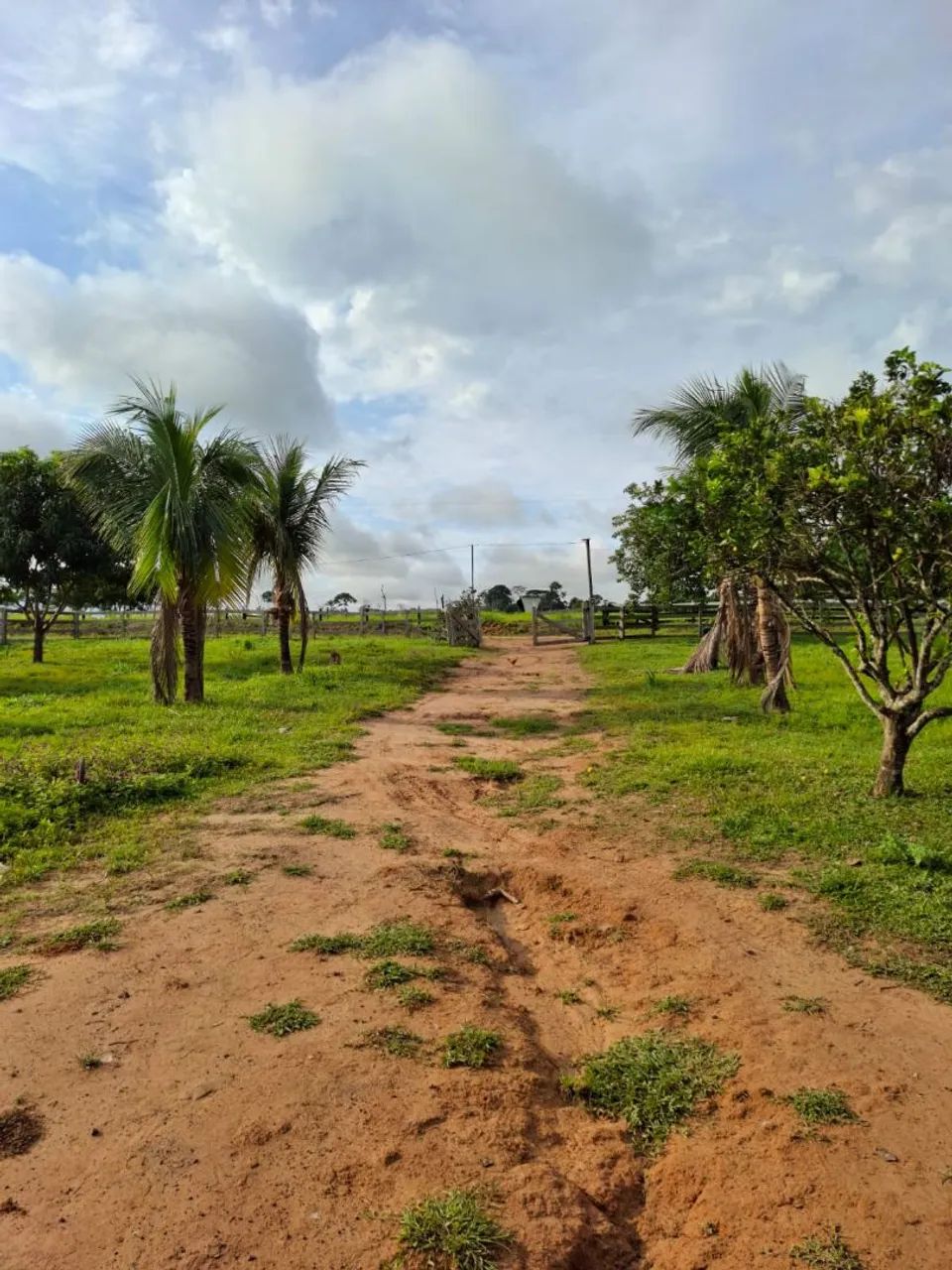 Terra -a venda oportunidade! - Foto 3