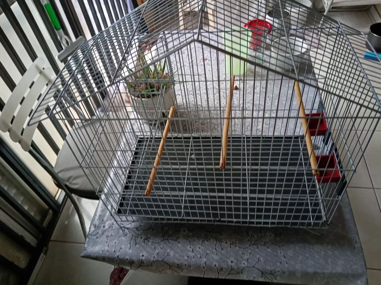 GAIOLA ( NOVA) - Foto 3