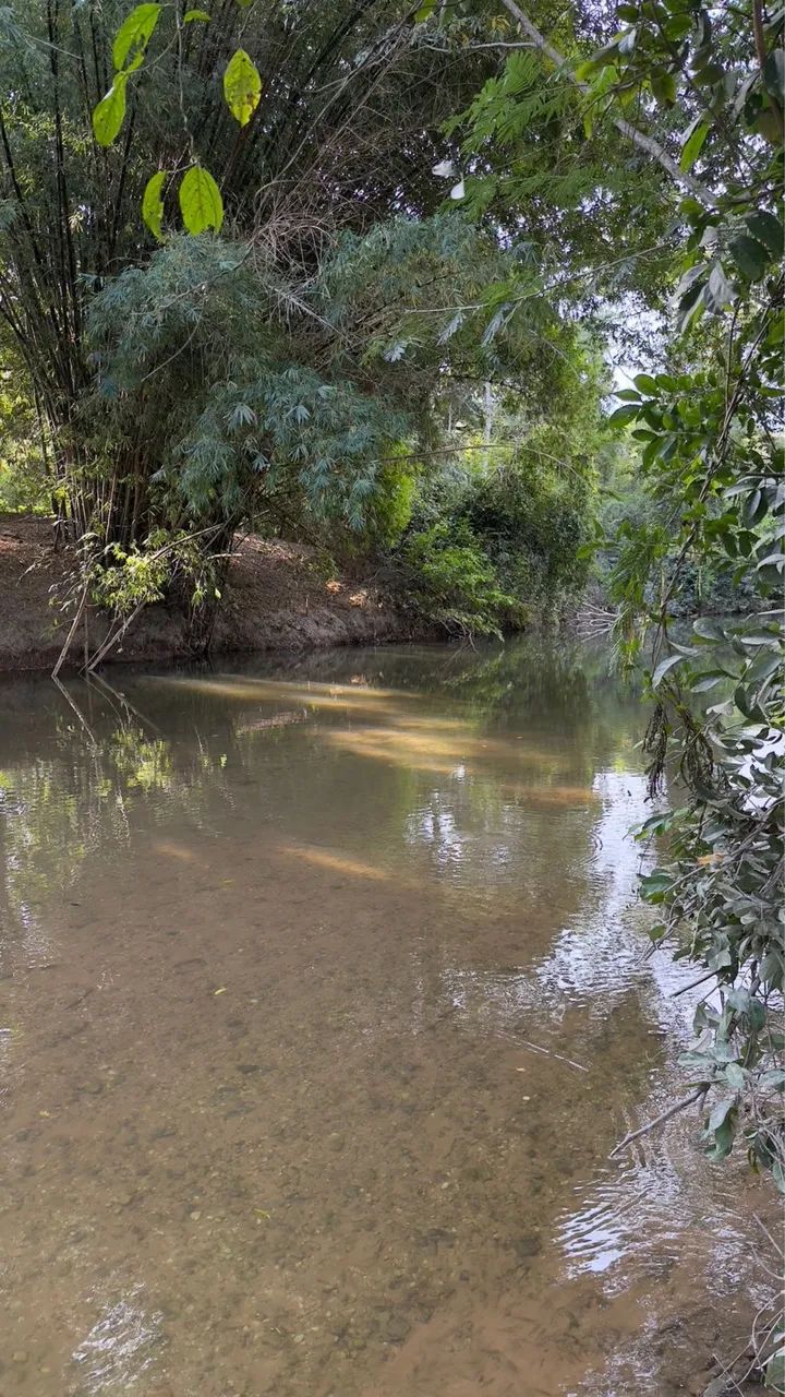 Lote no coxipó do Ouro, próximo ao Belvedere - Foto 3