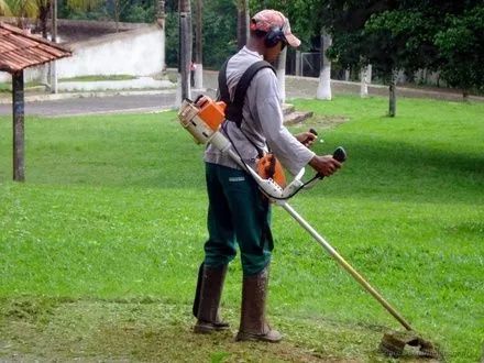 WM Serviços, Jardinagem, Corte de árvores, Roçagem lotes, hidráulica e elétrica simples et - Foto 3