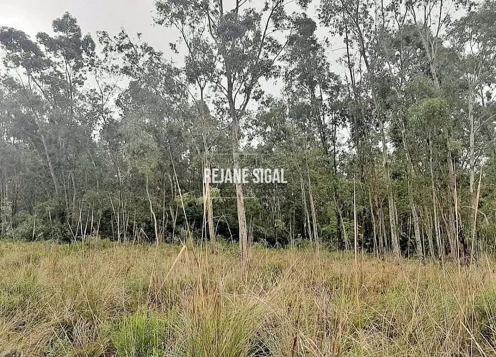 Propriedade rural em Cerrito