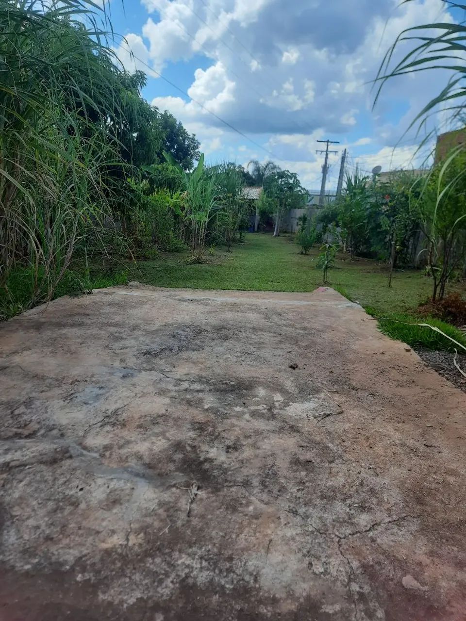 Chácara em Alfredo Marcondes - Foto 3