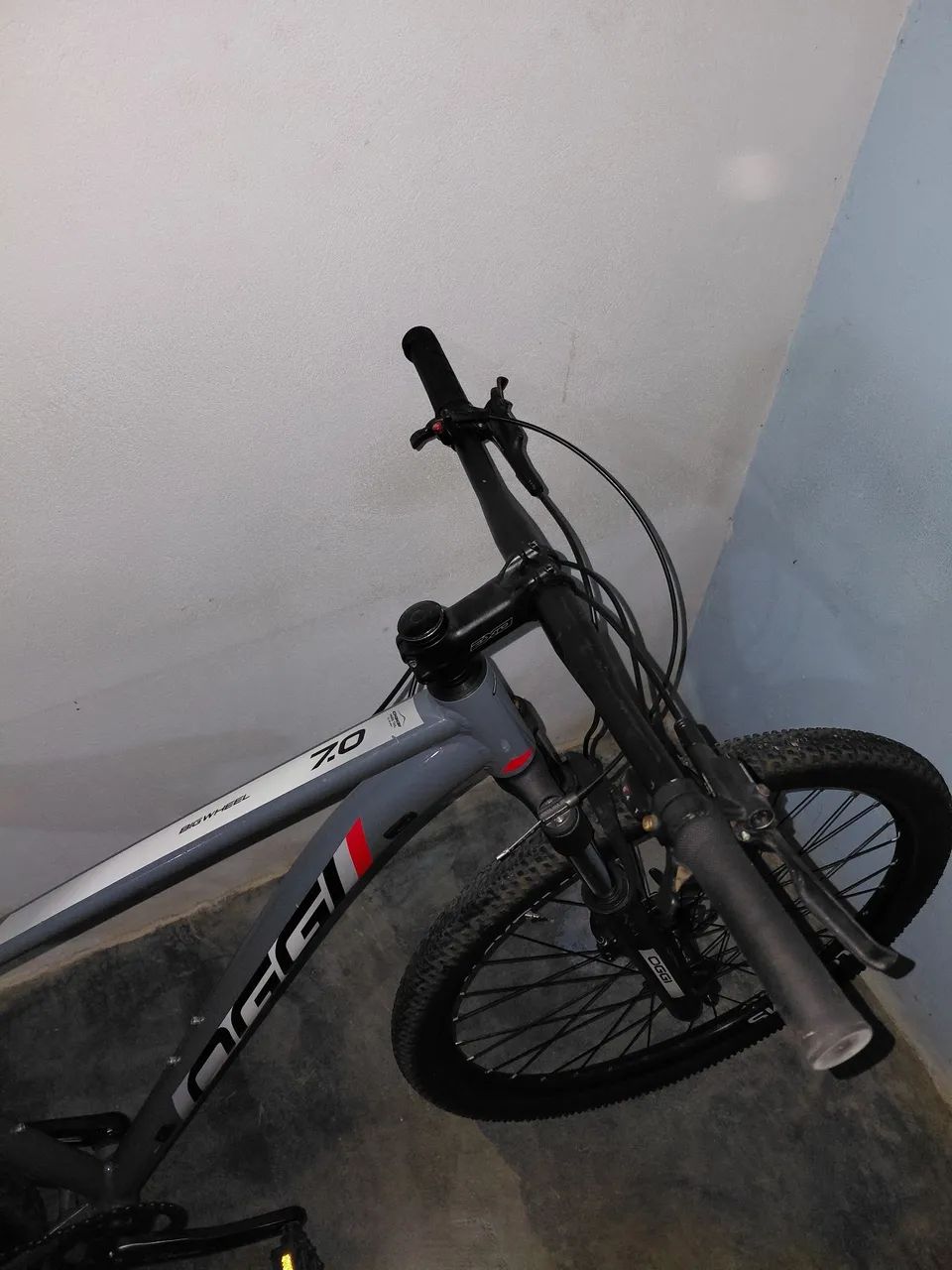 Bicicleta oggi 7.0
