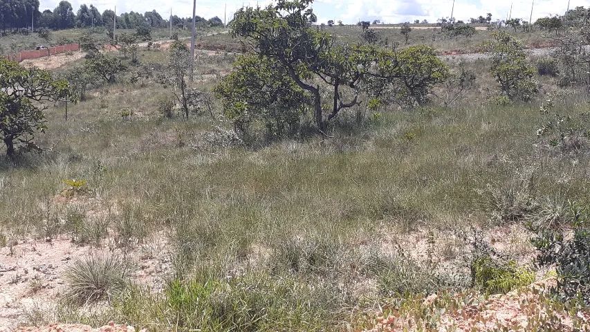 Terreno 528m2 em Caetanópolis  - Foto 4