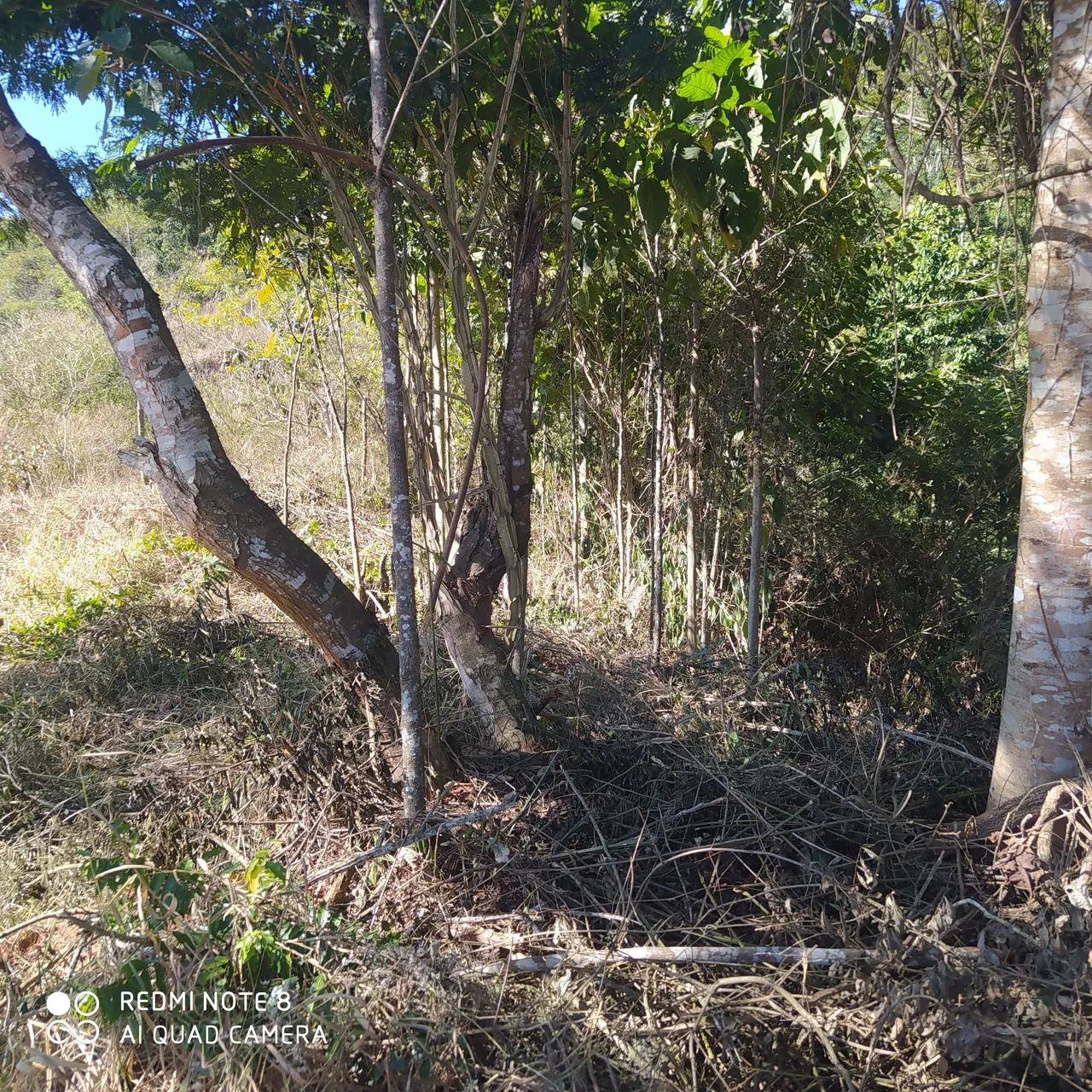Terreno  - Foto 4