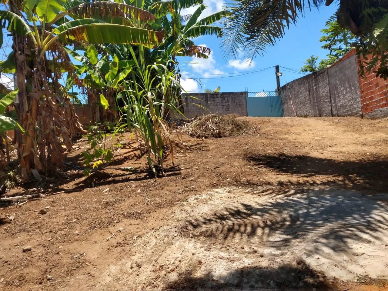 Vendo um sitio com 3 casas. - Foto 2