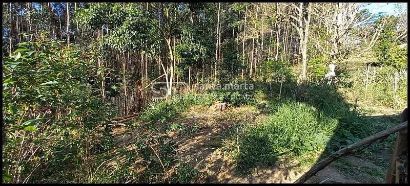CHÁCARA MORADIA/LAZER  PRÓXIMA À EEL/USP  LORENA  - Foto 4