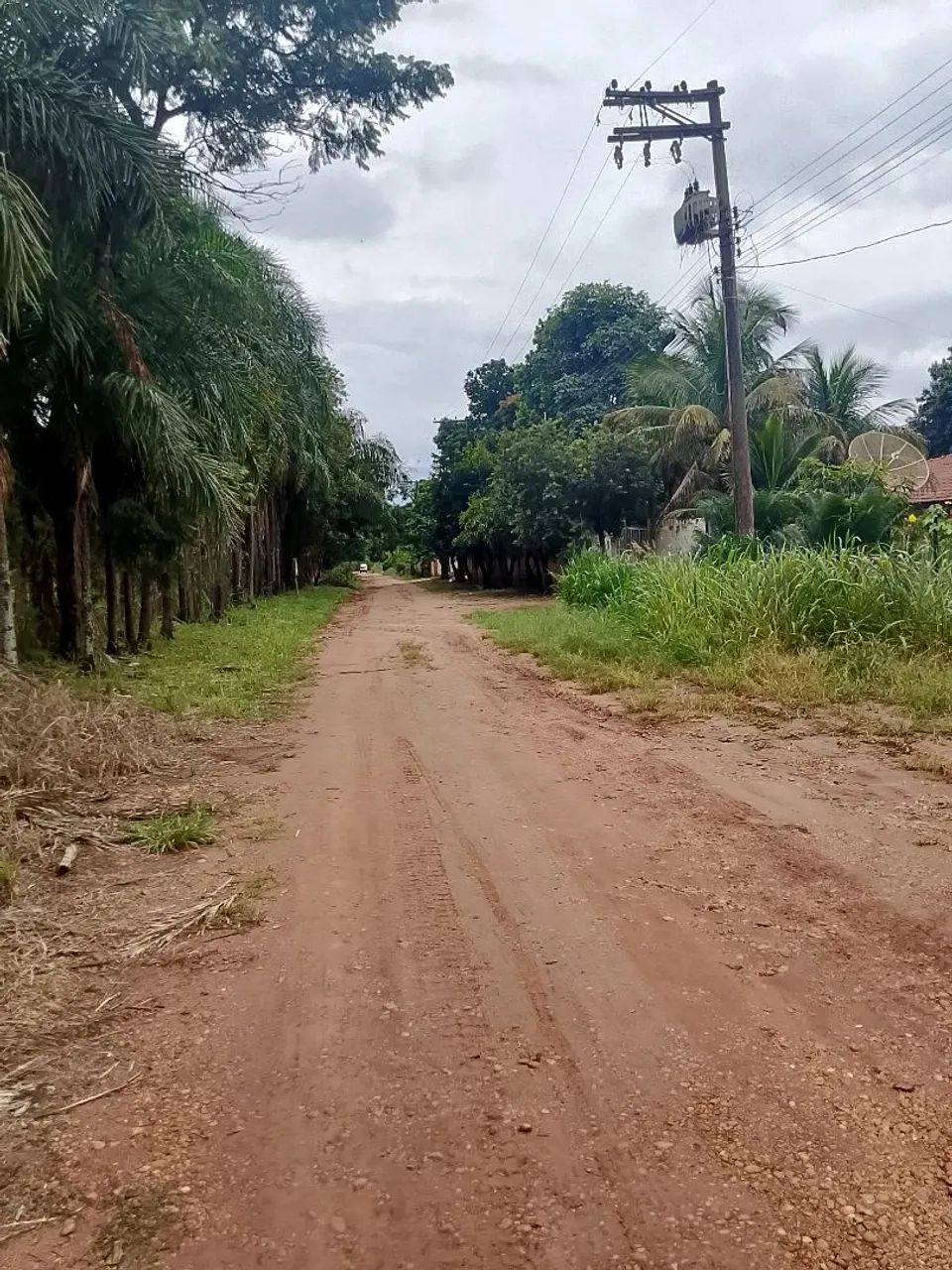 Vendo chácara na Mombuca  - Foto 4
