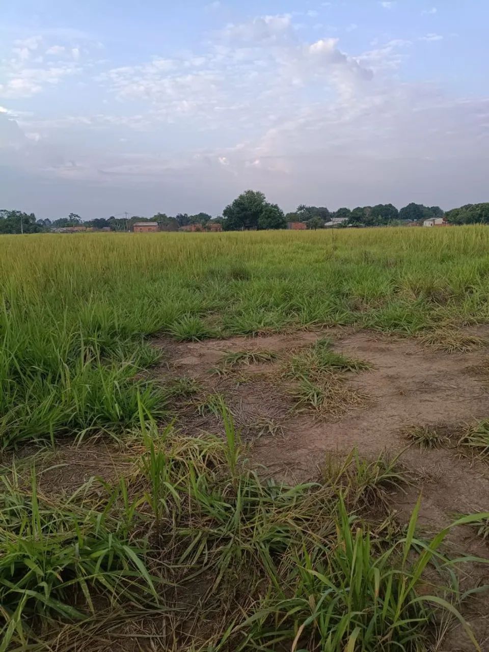 Vendesse Terreno