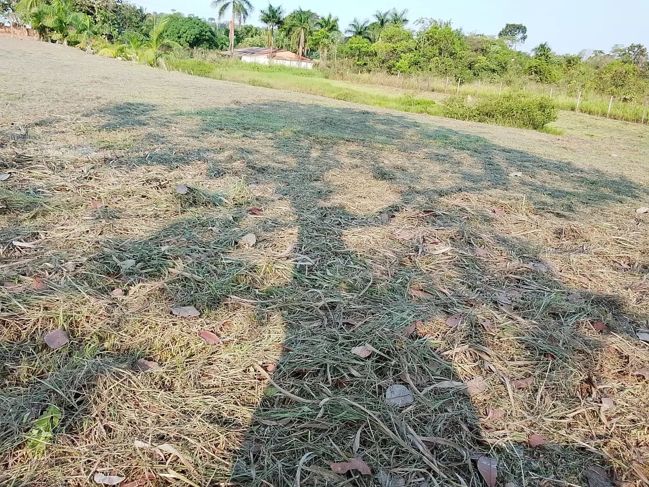 Roçador em geral   - Foto 4