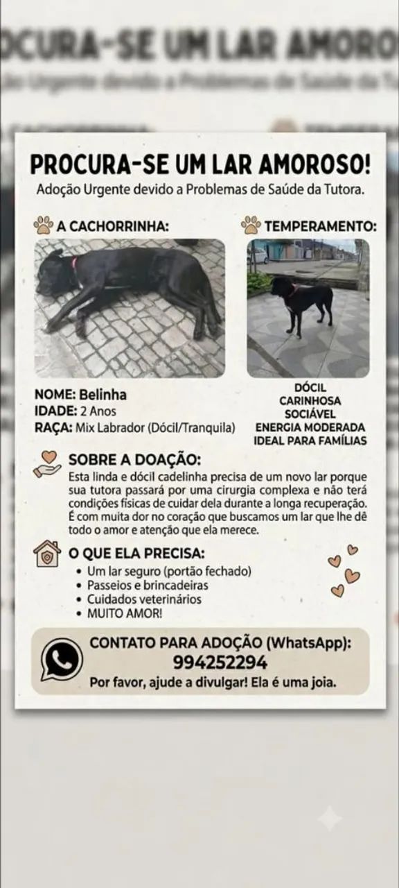 Doação Responsável 