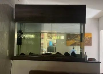 Aquário 