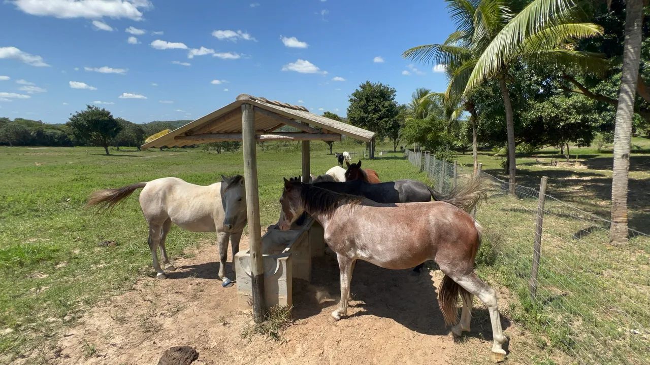 Fazenda Candeias - Foto 4