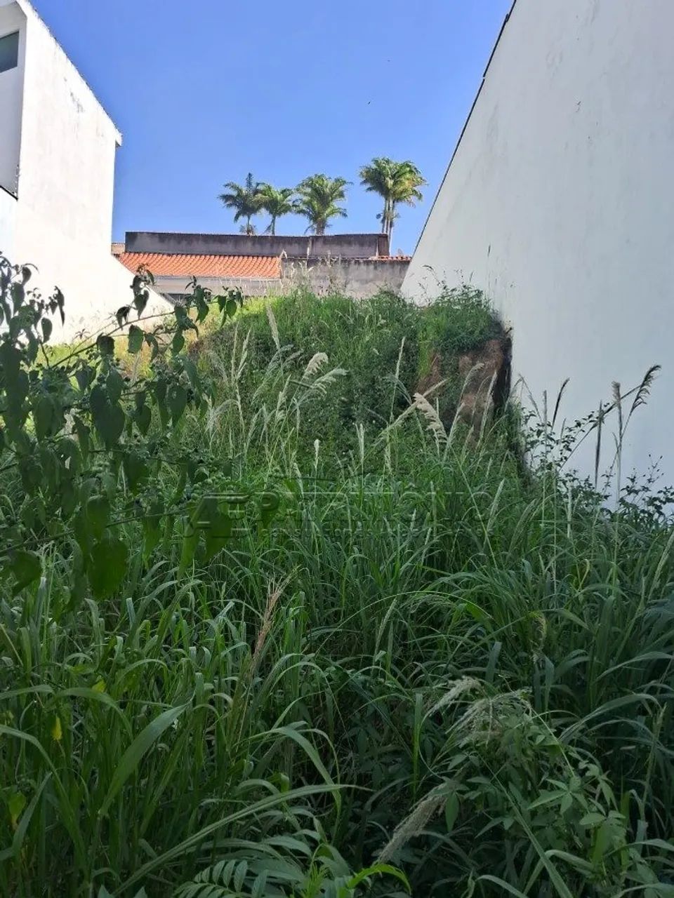 TERRENO COM 340M² - JARDIM EMILIA - Foto 5