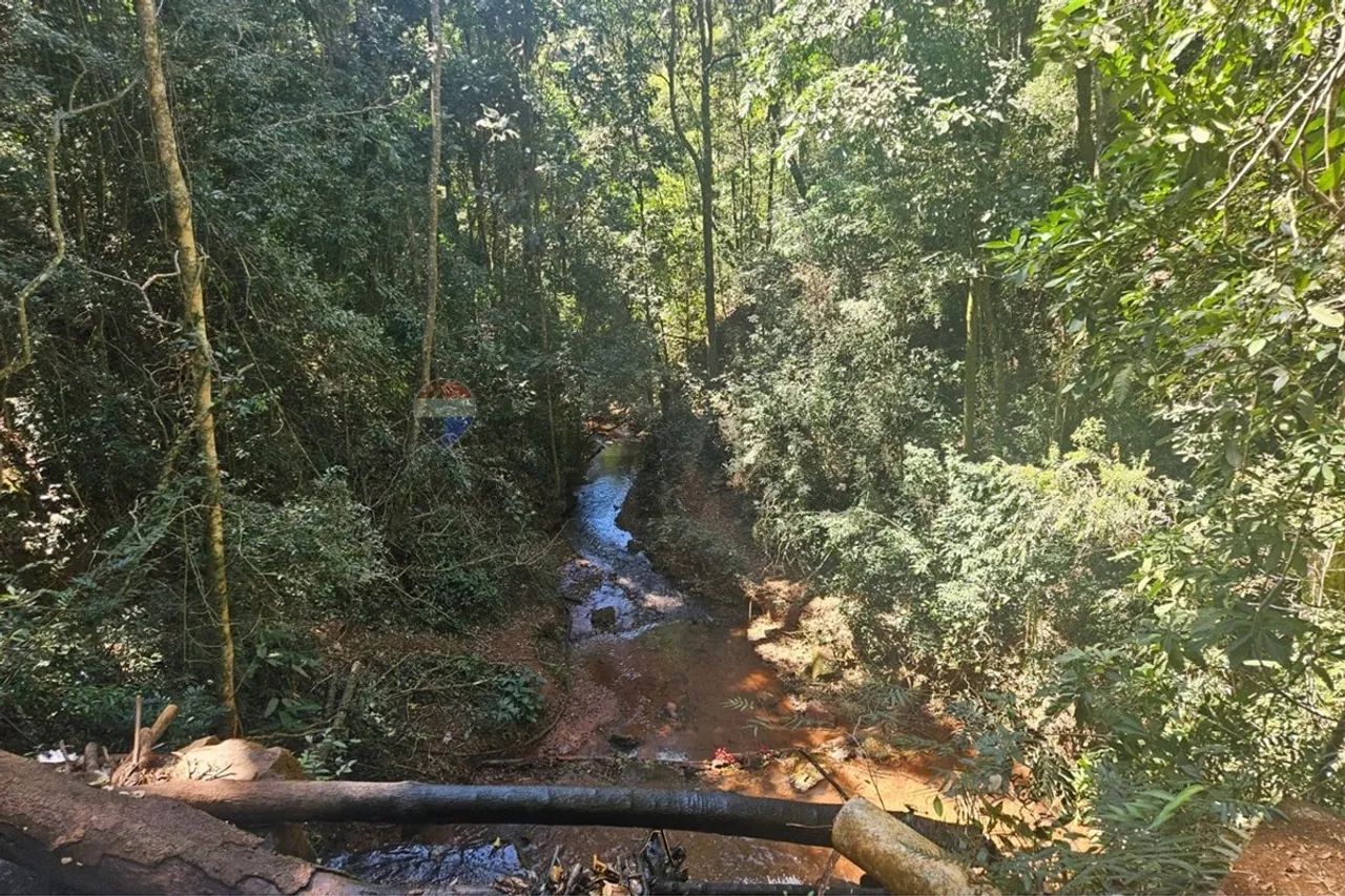 Fazenda de Luxo em Minas: Oportunidade Imperdível! - Foto 5